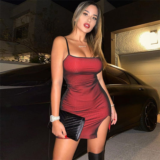 Too Hot For You Mesh Mini Dress